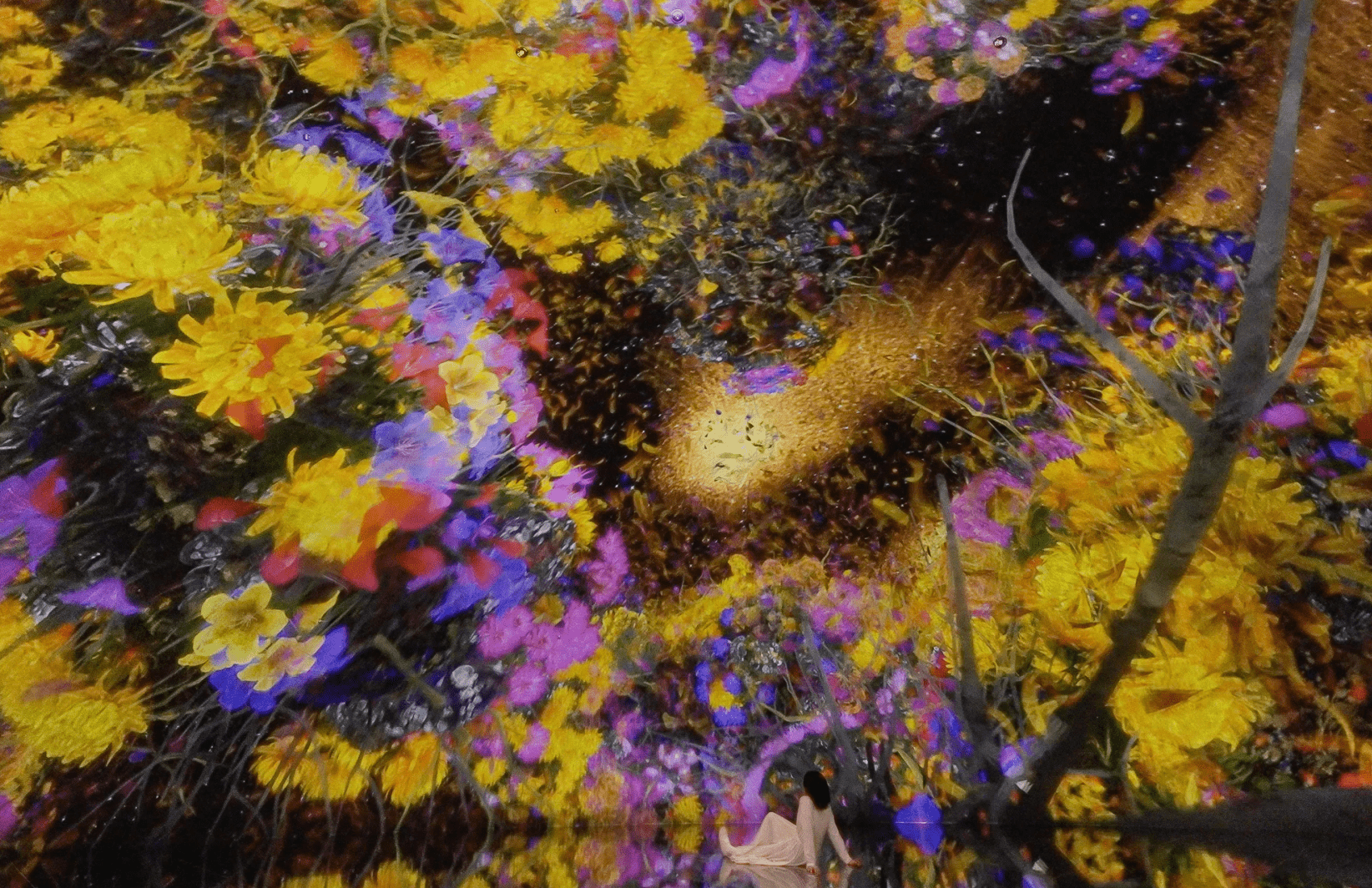 京都teamLab 2025｜6. 鳥群飛翔之道